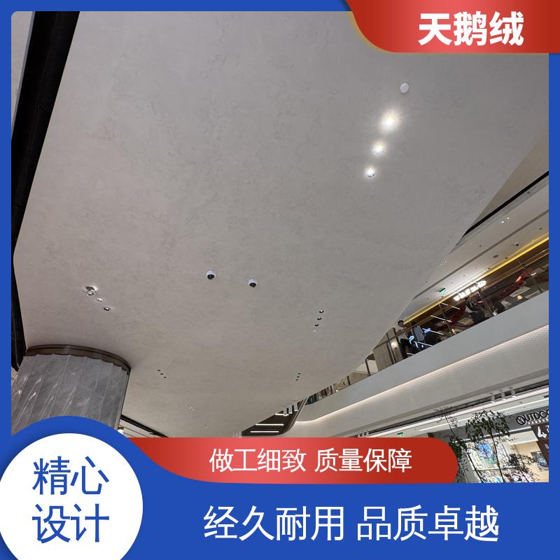 威乐森 内墙艺术漆 7天 完全固化 白色 开拓创新 品质致胜