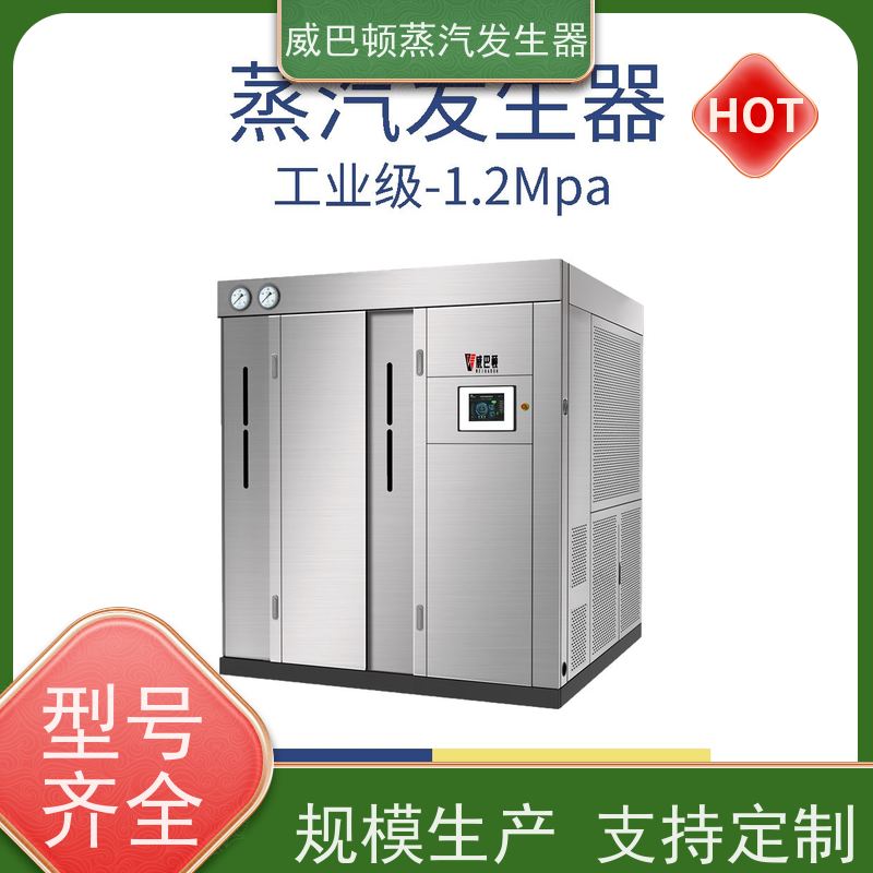  新型国标 高压蒸汽发生器 水容积≤30L，合规又省心 制药厂