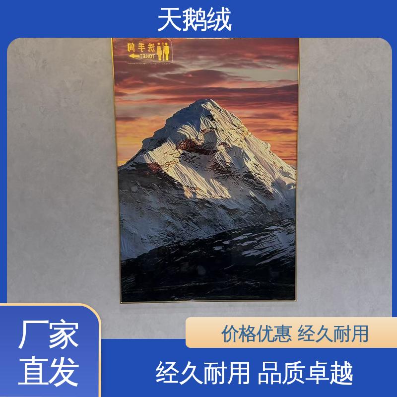 威乐森 绒面艺术漆 表干时间 60分钟 规格齐全 诚信经营