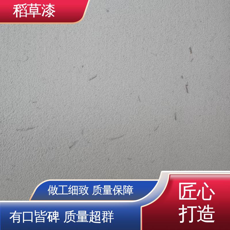威乐森 乡村泥巴墙 单次批刮厚度≤2mm 厂家制造供应