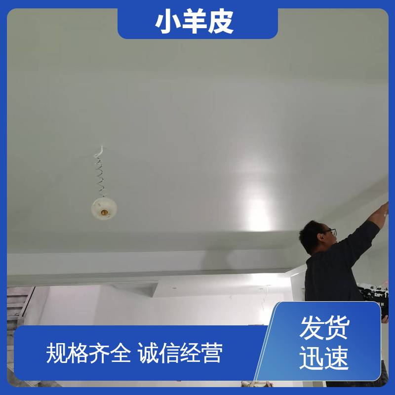 威乐森 小羊皮肌理漆 稀释比例≤5%体积清水 厂家制造供应
