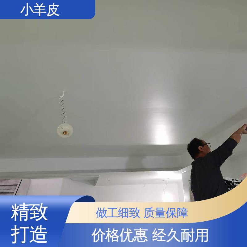 威乐森 羊皮纹艺术漆 养护周期 7天 SC-3500 货源充足 现货保质