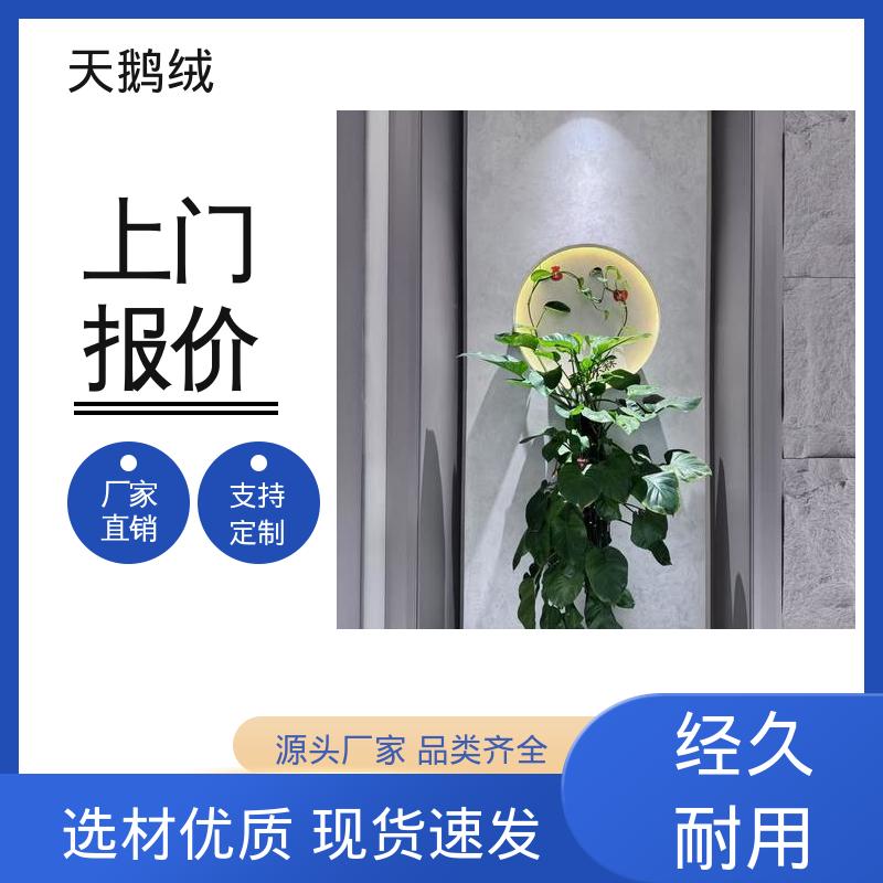 威乐森 艺术漆的品牌 7天 完全固化 白色 开拓创新 品质致胜