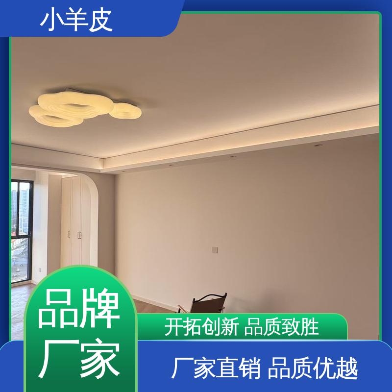 威乐森 肤感小羊皮艺术漆 养护周期 7天 SC-3500 规模生产 支持定制