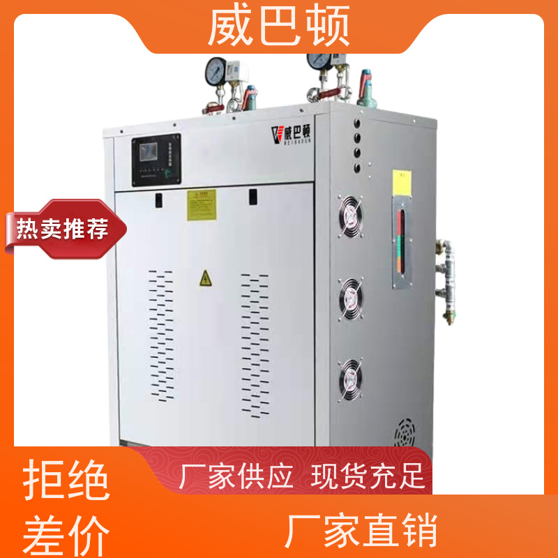  便宜的电蒸汽发生器 不锈钢材质 消毒行业 超压保护