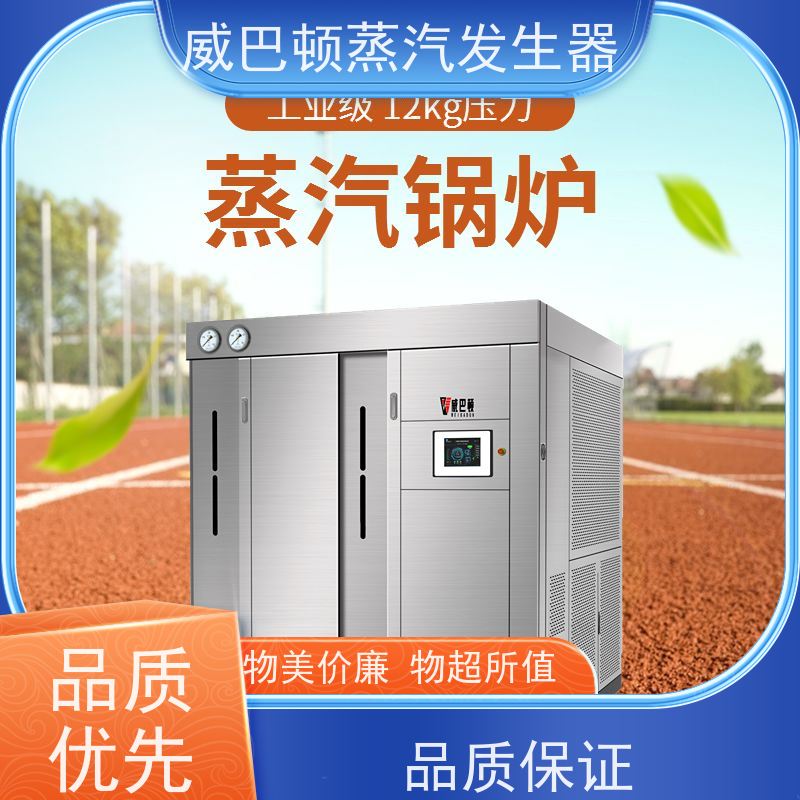  洗涤熨烫 5T蒸汽发生器 热效率 101% 还省气 泡沫厂