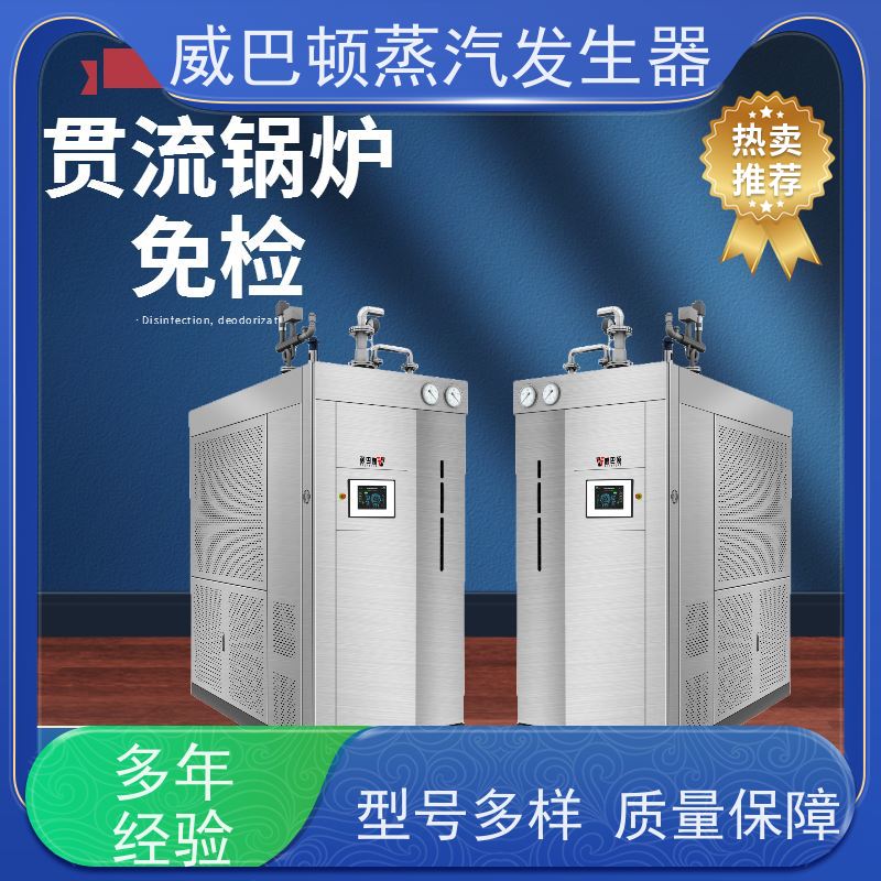  灭菌消毒 工业蒸汽发生器 热效率 101% 还省气 智能控温