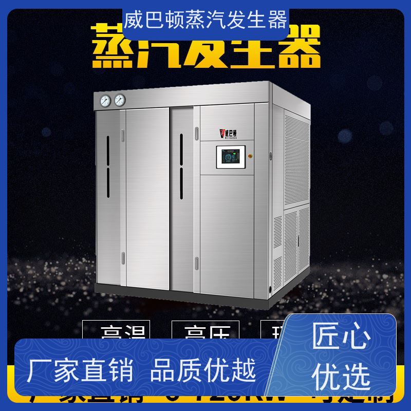  不锈钢 4T蒸汽发生器 体积小一半全 混凝土养护