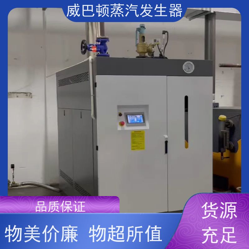  免特检 工业蒸汽发生器 水容积≤30L，合规又省心 泡沫厂