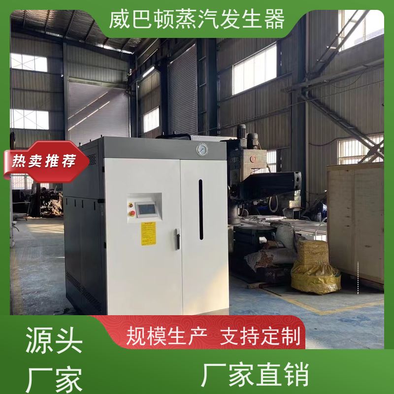  不锈钢 立式蒸汽锅炉 水容积≤30L，合规又省心 食品厂
