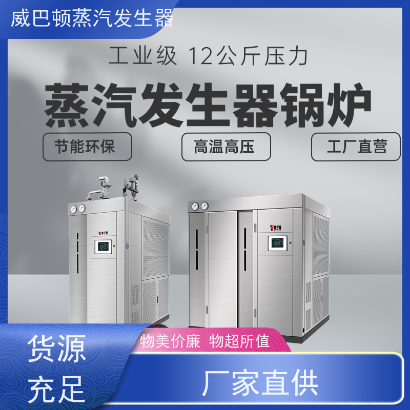  灭菌消毒 液化气热水锅炉 水容积≤30L，合规又省心 泡沫厂