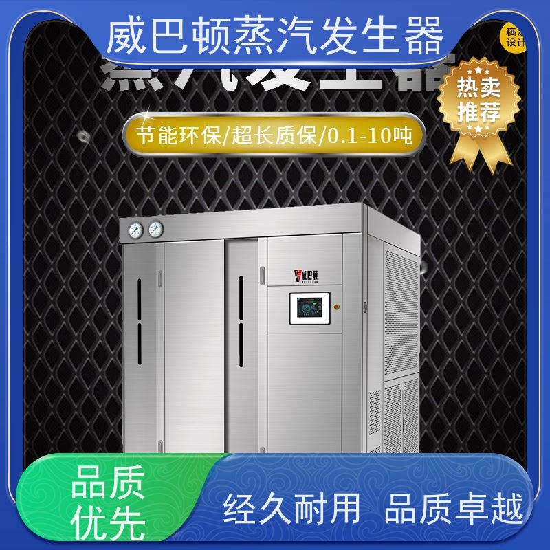  灭菌消毒 液化气蒸汽发生器 多台并联省气稳供 食品烘干