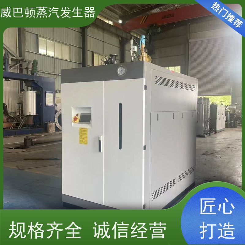  不锈钢 立式蒸汽发生器 水容积≤30L，合规又省心 制药厂