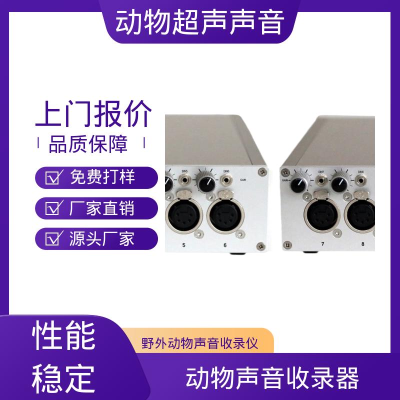 德国Avisoft 手持超声波 母头 XLR-5 插座 源头厂家