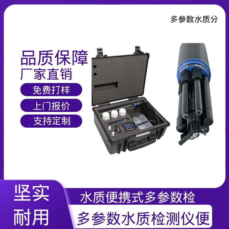 英国Aquaread AP-2000 水质在线分析仪 IP68防护 源头厂家