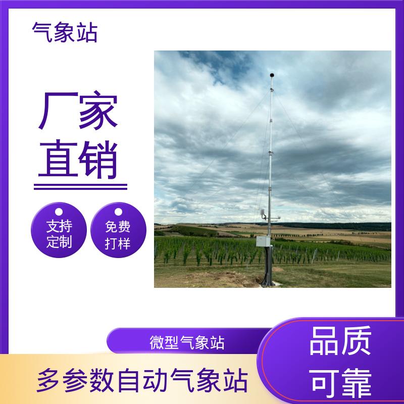 德国Lambrecht 科研级自动气象站 风向范围 ±3° 规模定制生产