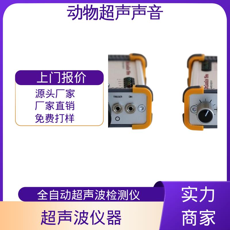 德国Avisoft 野外动物声音收录仪 母头 XLR-5 插座 源头厂家
