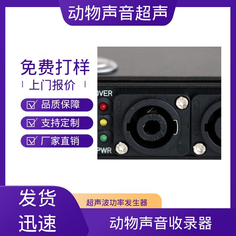 德国Avisoft 超声波功率放大器 现货充足 Player116H 单通道