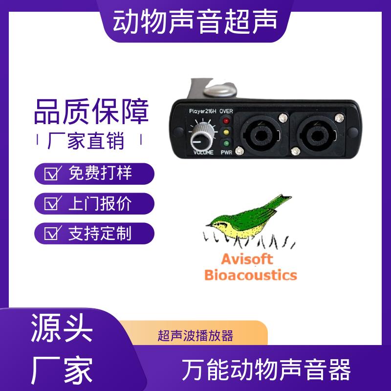 现货充足 动物超声仪器 Player116H 单通道 德国Avisoft