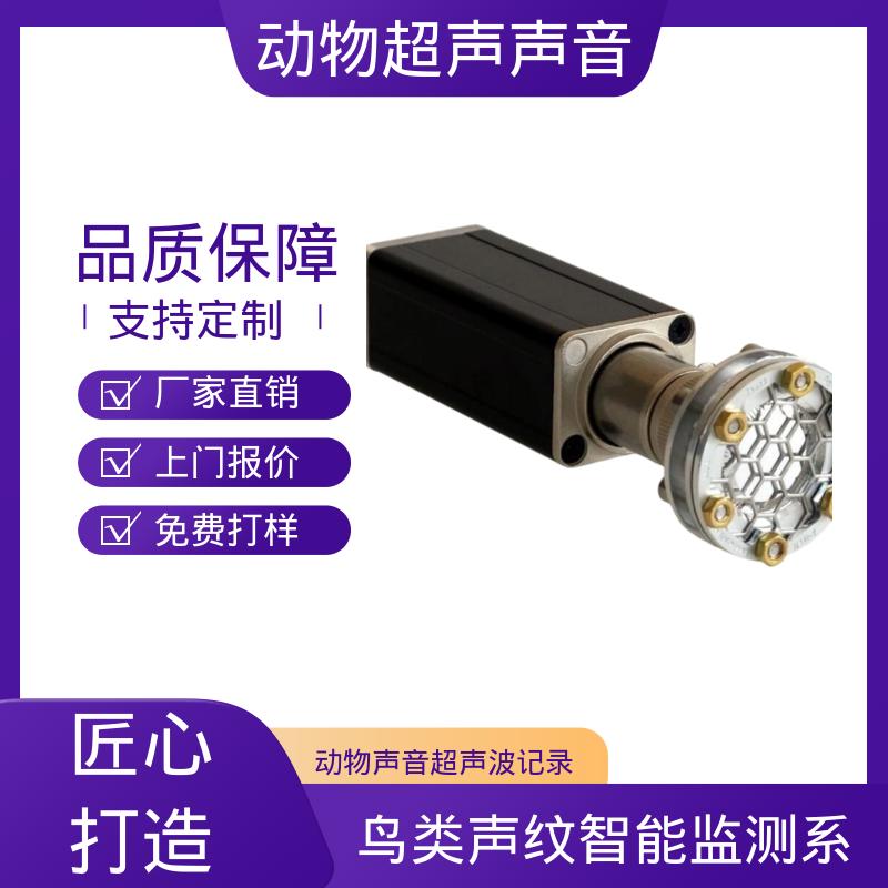 德国Avisoft 超声波测深仪 母头 XLR-5 插座 源头厂家