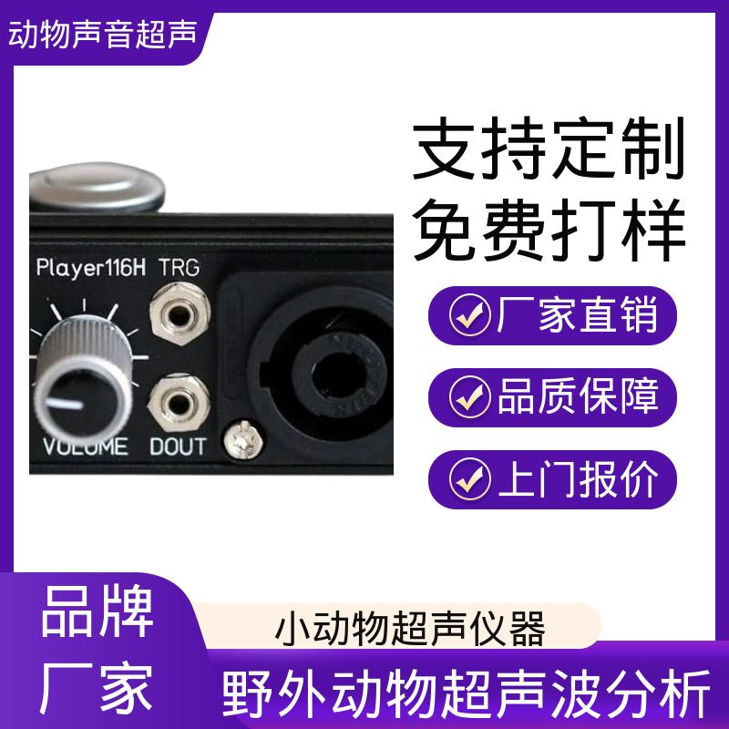 Player116H 鸟类声纹识别设备 现货充足 单通道 德国Avisoft