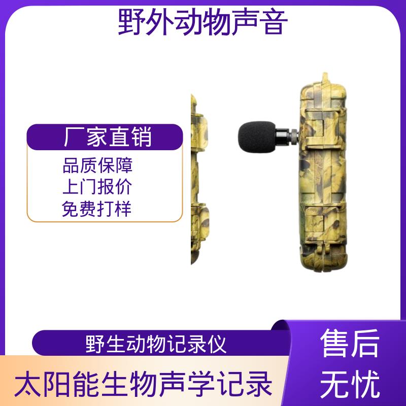 澳大利亚Titley Chorus 记录仪 内置GPS 厂家供应