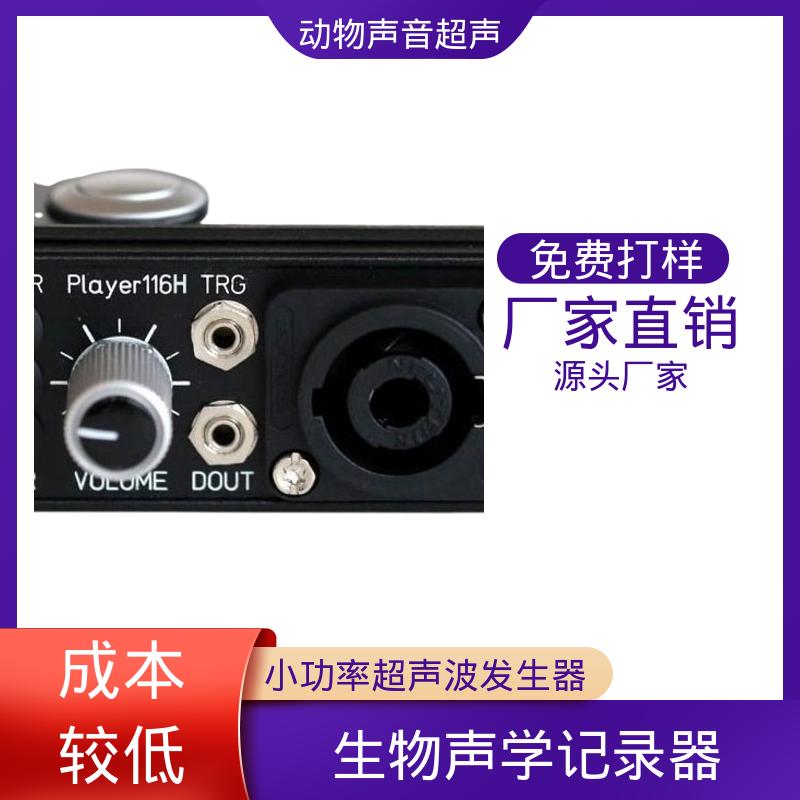 德国Avisoft 超声波放大器 Player116H 单通道 现货充足