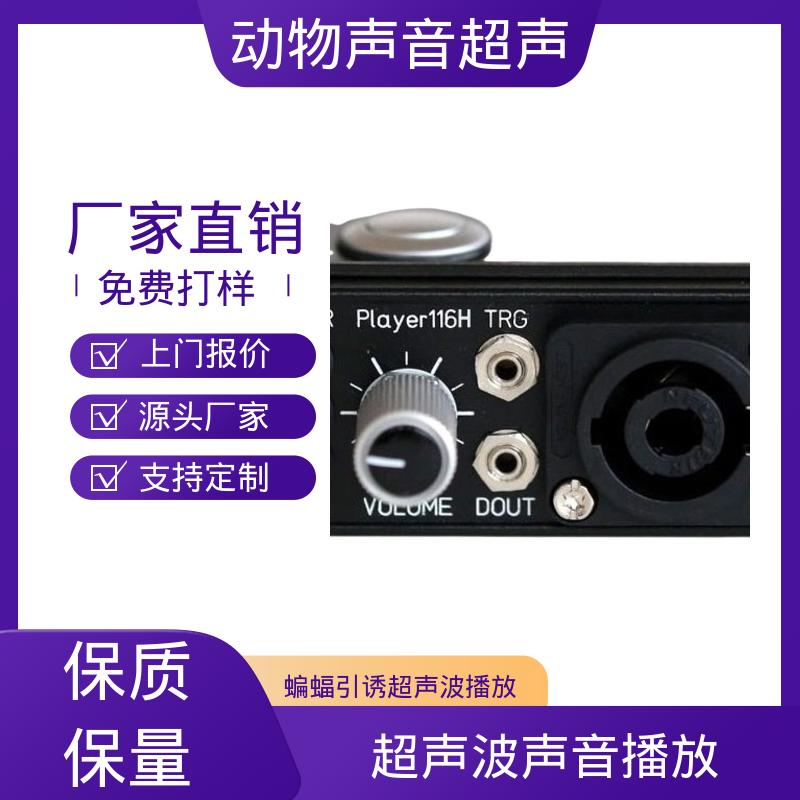 德国Avisoft 小动物超声成像仪 85x35 x190 mm 实力厂家 品质优越