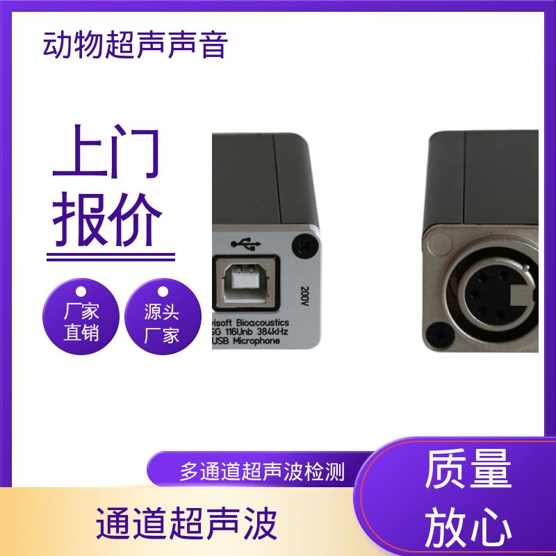 德国Avisoft 动物超声诊断仪 母头 XLR-5 插座 源头厂家