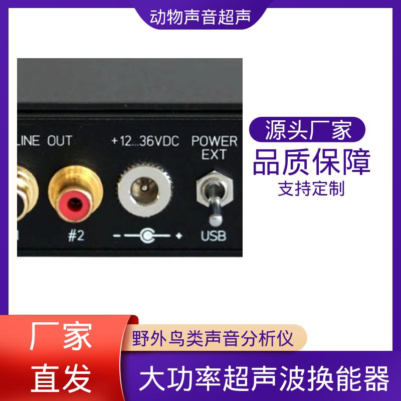 现货充足 超声波播放器 Player116H 单通道 德国Avisoft