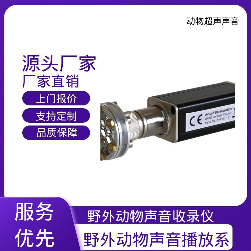 德国Avisoft 手持式超声波测深仪 母头 XLR-5 插座 源头厂家