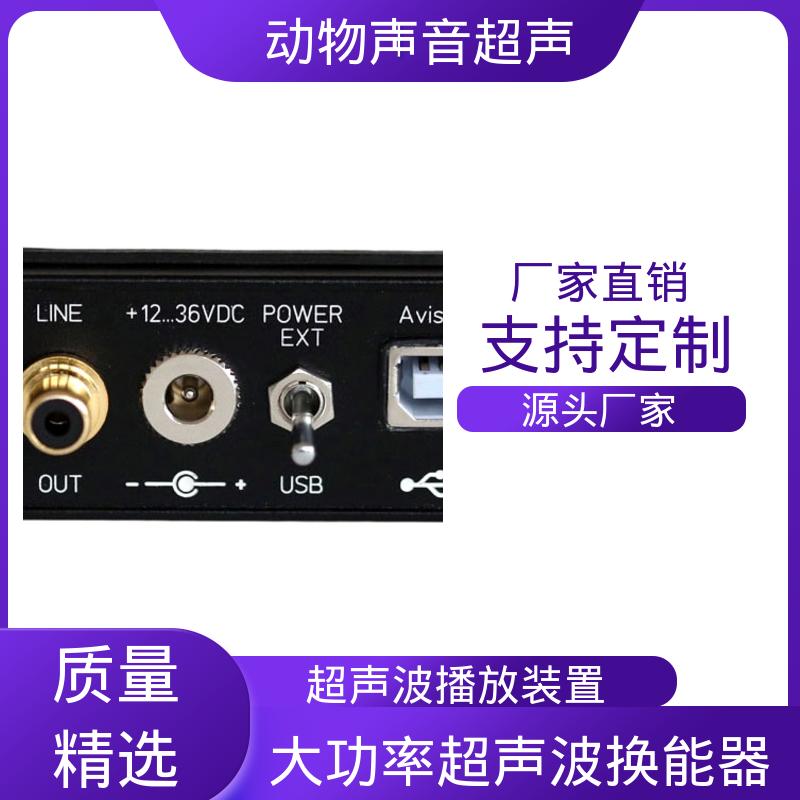 德国Avisoft 小动物超声诊断仪 85x35 x190 mm 源头厂家 品类齐全