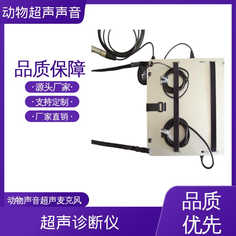 德国Avisoft 超声波分析仪 母头 XLR-5 插座 源头厂家