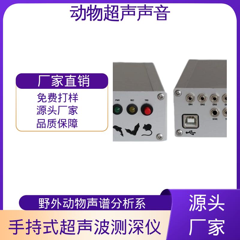 德国Avisoft 动物声音超声波播放器 母头 XLR-5 插座 源头厂家