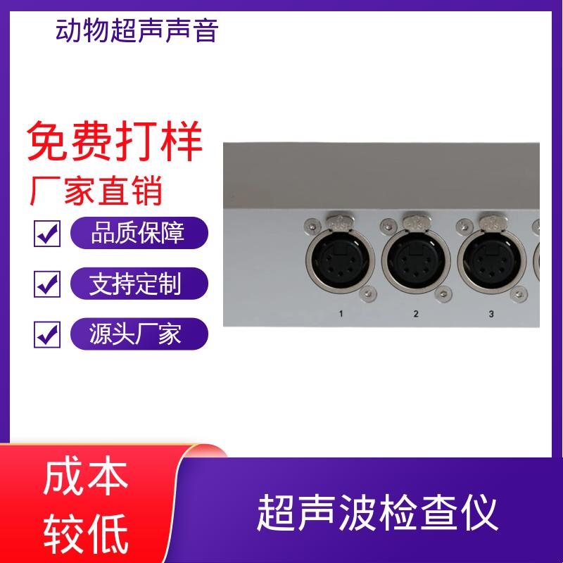 德国Avisoft 野外动物超声收录器 母头 XLR-5 插座 源头厂家