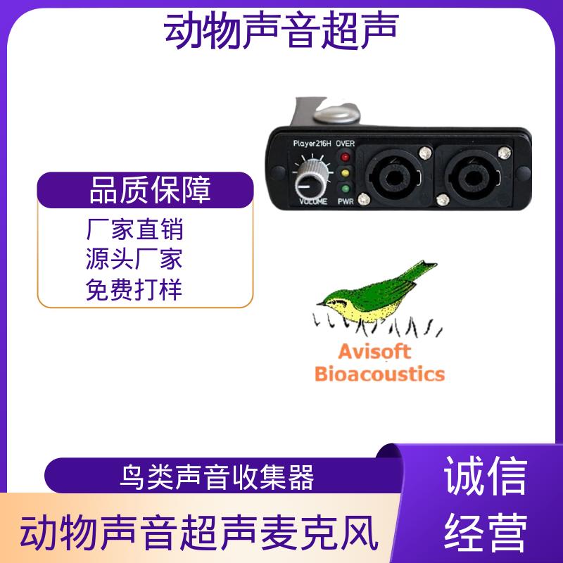 蝙蝠引诱超声波播放装置 现货充足 单通道 Player116H 德国Avisoft