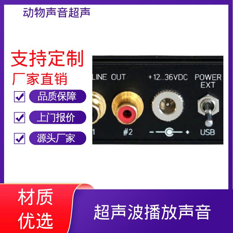 Player116H 现货充足 单通道 超声动物声音收集器 德国Avisoft