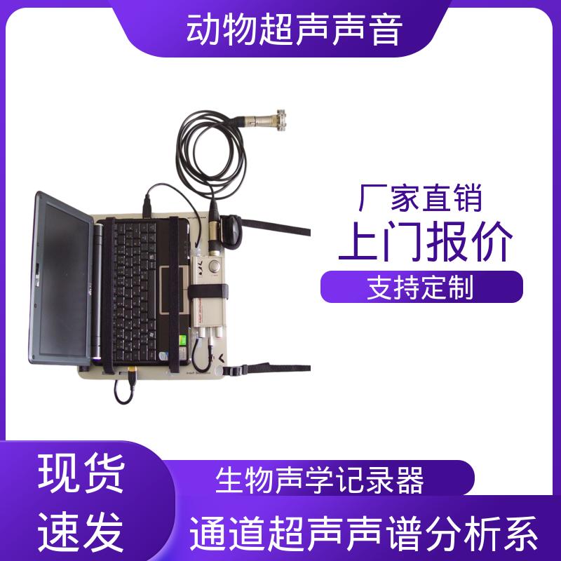 德国Avisoft 动物超声麦克风 母头 XLR-5 插座 源头厂家