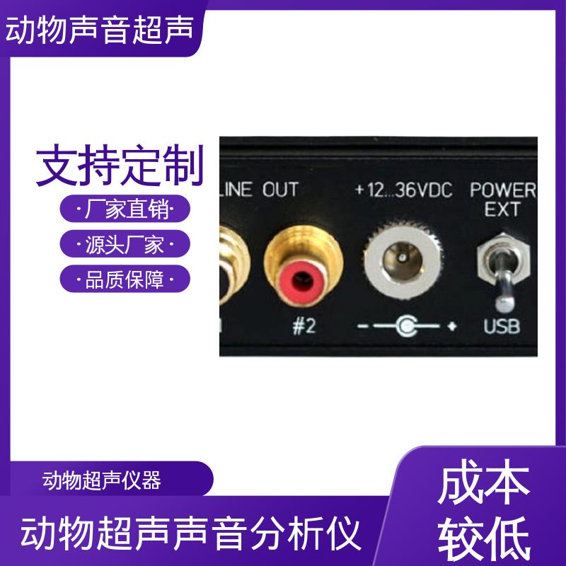 单通道 现货充足 动物声音器 Player116H 德国Avisoft