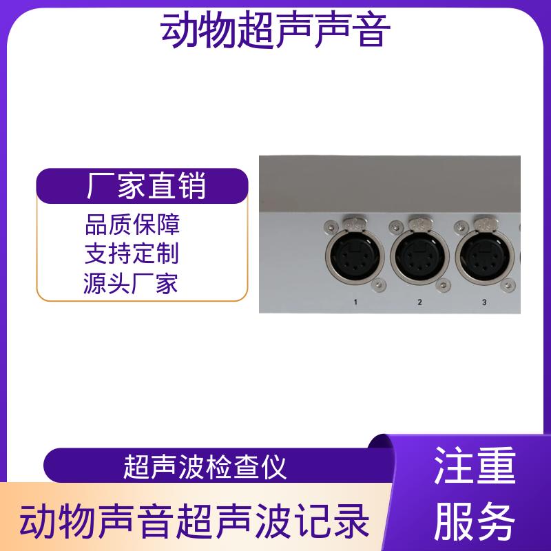德国Avisoft 可记录超声波检测仪 母头 XLR-5 插座 源头厂家