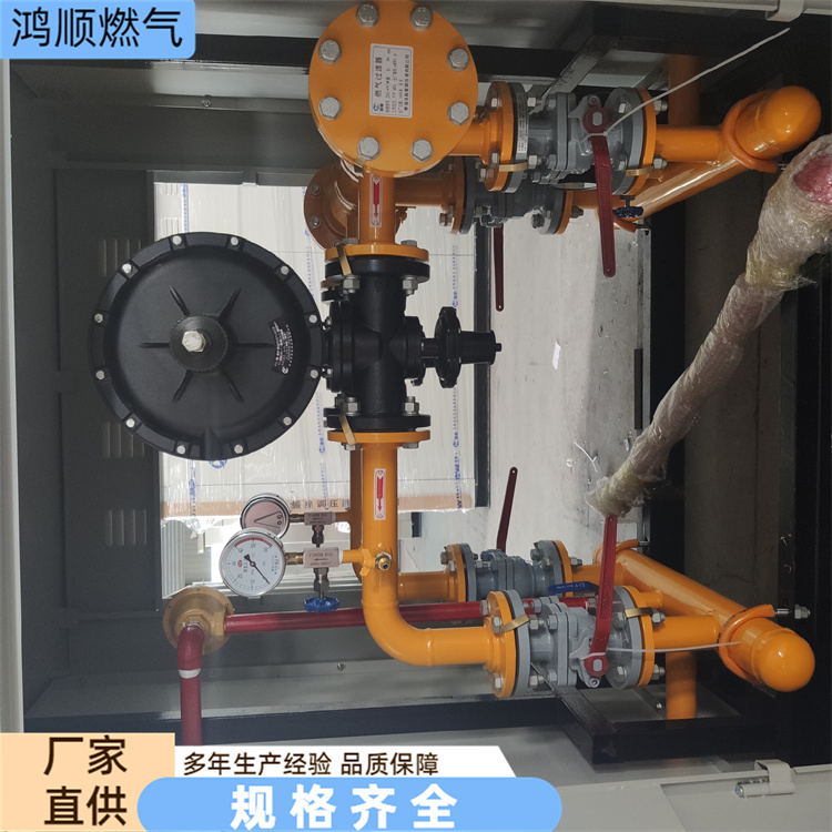 鸿顺 厂家供应 天燃气调压计量柜 占地小安装方便 规格齐全