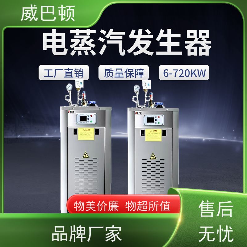  304 不锈钢内胆 消毒行业 超压保护 48KW电蒸汽发生器