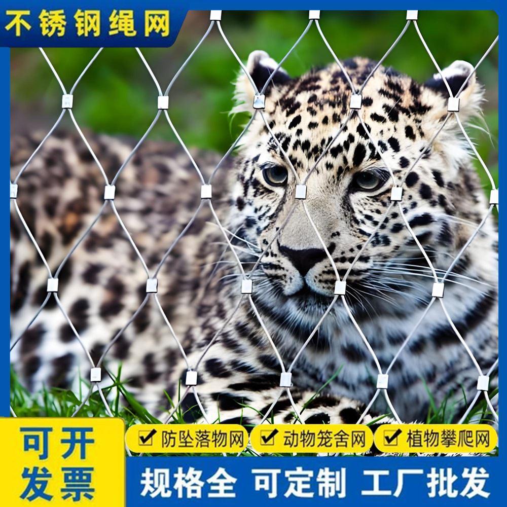 特信绳网 孔型齐全 防落物网 不锈钢装饰网 304 高空专用安全防坠网