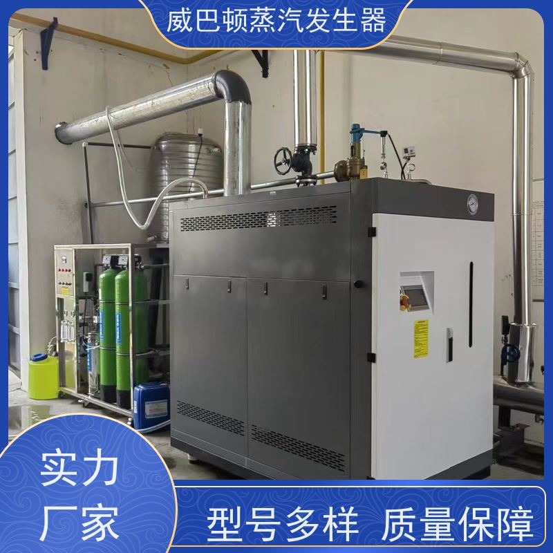 不锈钢 2吨蒸汽发生器 水容积≤30L，合规又省心 泡沫厂
