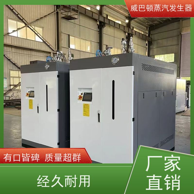  灭菌消毒 5吨燃气锅炉 水容积≤30L，合规又省心 食品烘干