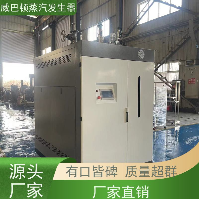  免特检 5吨燃气锅炉 水容积≤30L，合规又省心 反应釜