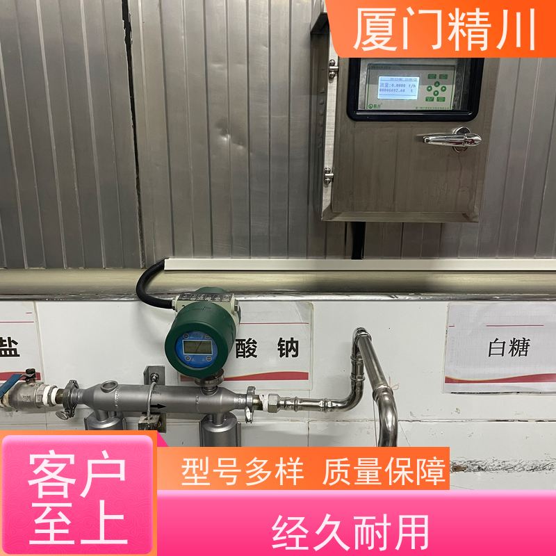 精川锂电行业DN1质量流量计连接方式支持定制更耐用