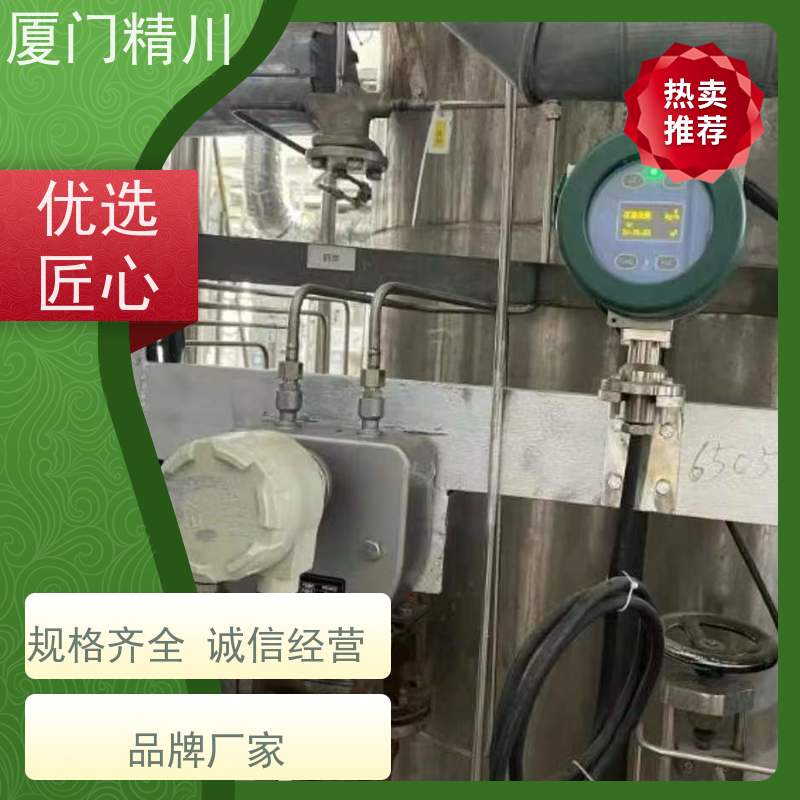 精川锂电行业液体质量流量计支持定制更放心