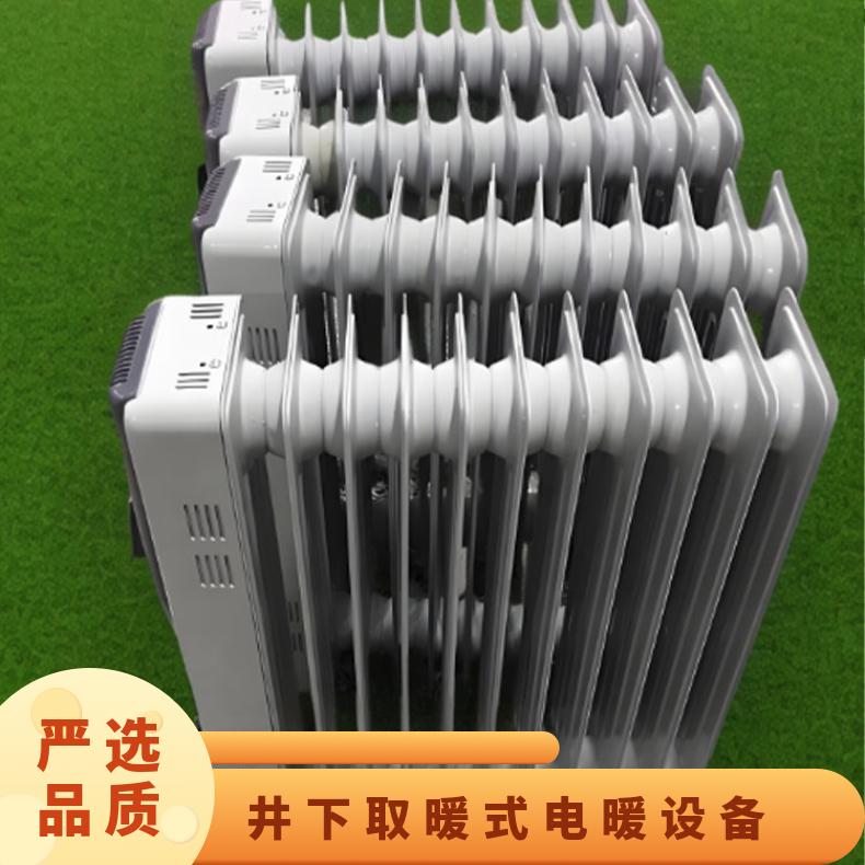 井下取暖式防爆电暖设备 煤矿用自动控温电热油汀