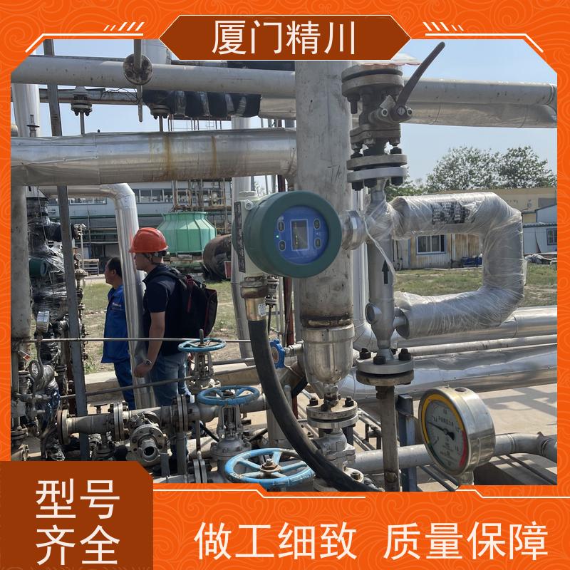 精川股份食品厂DN1质量流量计精度0.2级省力